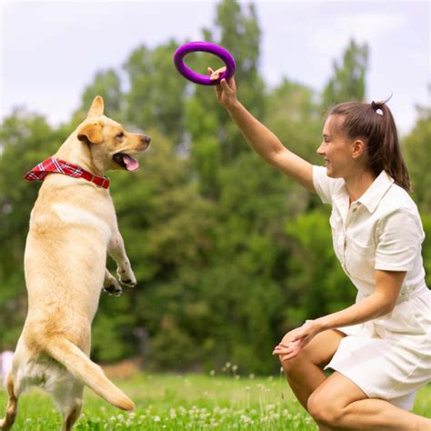 Foto de un cuidador jugando con un perro y un gato en un entorno doméstico