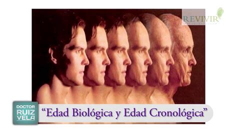 Infografía comparativa: Diferencias entre edad cronológica, biológica y psicológica.