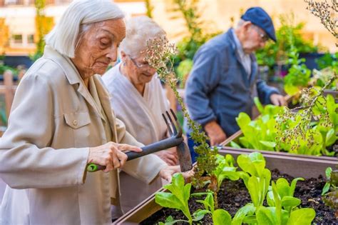 Foto de personas mayores haciendo jardinería en un huerto