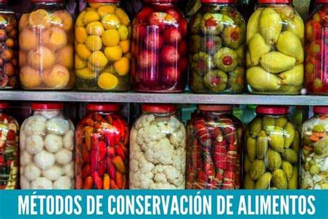 Comparativa de diferentes tipos de táperes para la conservación de alimentos.