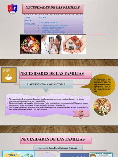 Gráfica de necesidades de las familias (porcentaje)