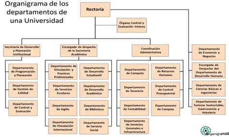 Organigrama que ilustra la estructura de los Departamentos de Prevención de Riesgos.