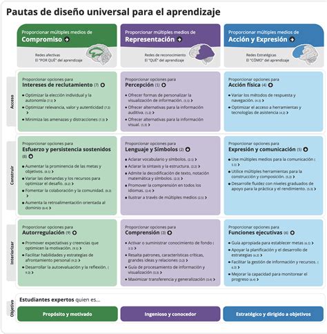 Diagrama ilustrando los tres principios del Diseño Universal para el Aprendizaje (DUA).