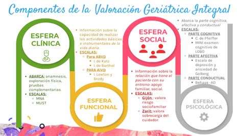 Diagrama que ilustra los componentes de la Evaluación Geriátrica Integral (EGI).