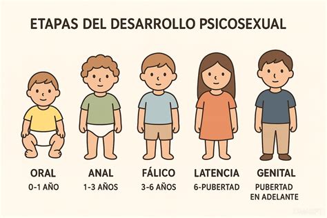 Gráfico de las etapas del desarrollo psicosexual de Freud