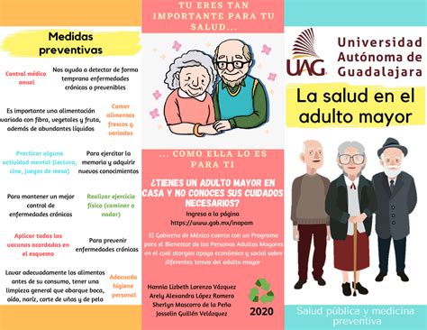 Infografía: Tipos de cuidado de adultos mayores (Autovalentes, Semivalentes, Postrados)