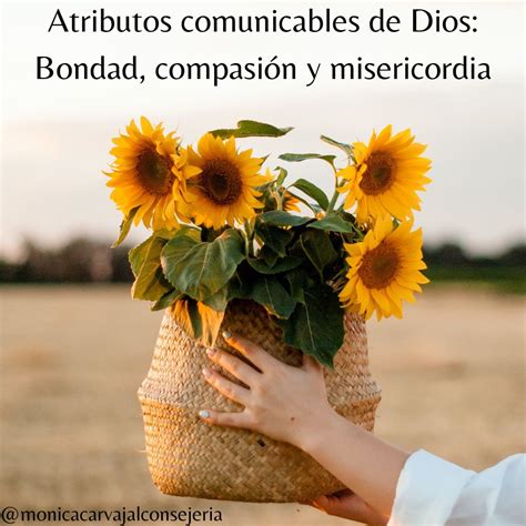 Esquema que ilustra la relación entre justicia, bondad, misericordia y compasión en la función judicial