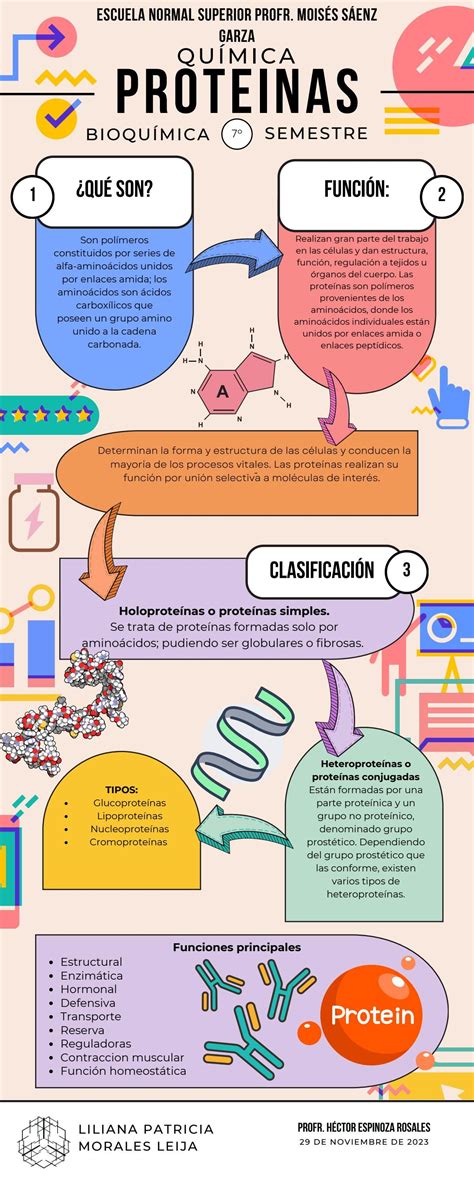 infografía sobre la importancia de las proteínas en el cuerpo humano
