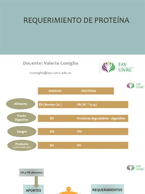 tabla comparativa de requerimientos proteicos según edad y nivel de actividad