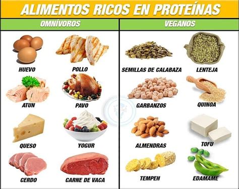 imágenes variadas de alimentos ricos en proteínas, tanto animales como vegetales