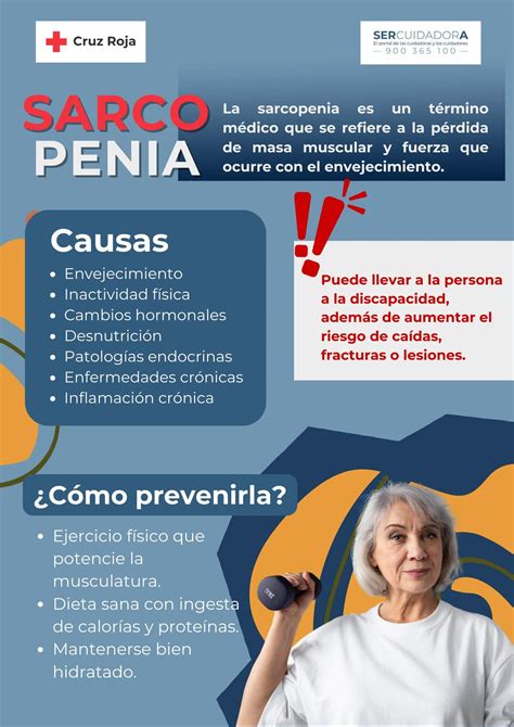 infografía sobre la sarcopenia y cómo combatirla con nutrición y ejercicio