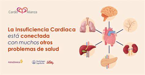Diagrama de manejo multidisciplinario de comorbilidades en geriatría