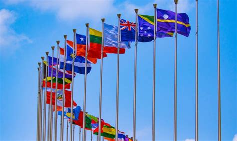 Esquema de las leyes y convenciones internacionales y nacionales que promueven la inclusión de personas con discapacidad.