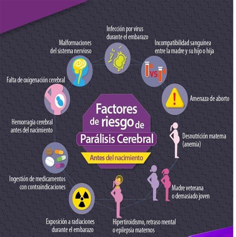 Esquema gráfico de los principales factores de riesgo de la parálisis cerebral (prematuridad, infecciones, ictericia)