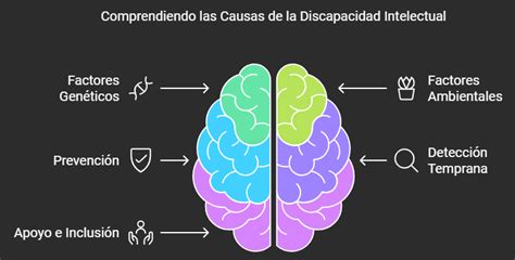 Ilustración o infografía mostrando las diferentes causas de la discapacidad intelectual, divididas en genéticas, prenatales, perinatales y postnatales.