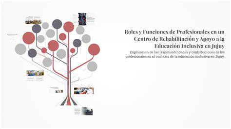 Esquema de roles profesionales en educación inclusiva
