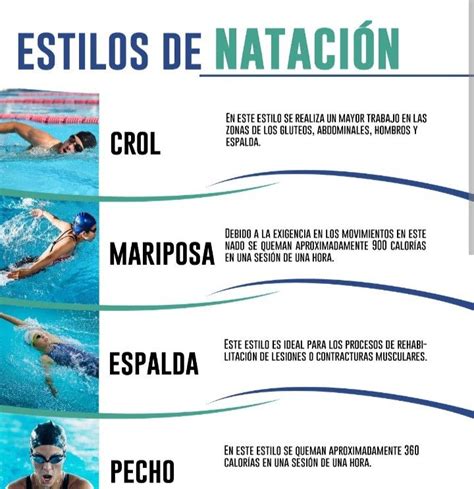 Infografía mostrando los músculos implicados en cada estilo de natación.