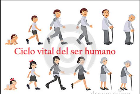 Esquema visual que representa el ciclo vital humano como un camino, destacando la transición hacia la integridad en la etapa final.
