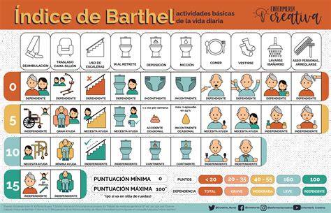 Infografía: Componentes y puntuación del Índice de Barthel