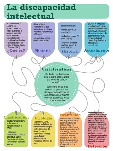 Infografía detallando las características y rangos de CI para cada nivel de discapacidad intelectual.
