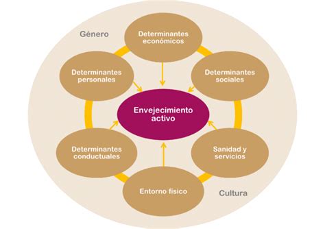 Diagrama de los pilares del envejecimiento activo y saludable de la OMS
