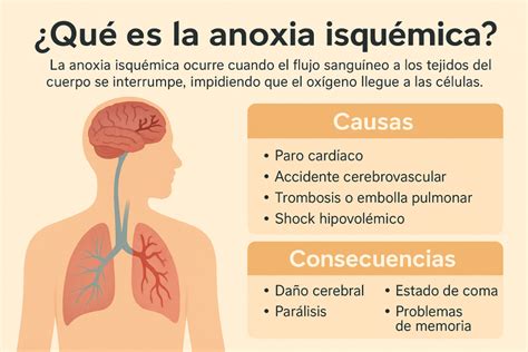 Infografía sobre las causas principales de la anoxia cerebral