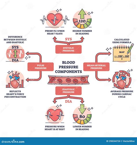 Esquema explicativo de la presión arterial: componentes sistólico y diastólico, y su impacto en el sistema circulatorio.