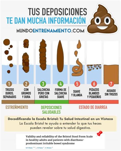 Esquema de la escala de Bristol para clasificar los tipos de heces