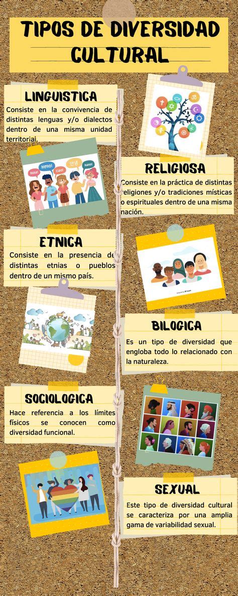 Infografía detallada sobre los diferentes tipos de diversidad funcional y sus características