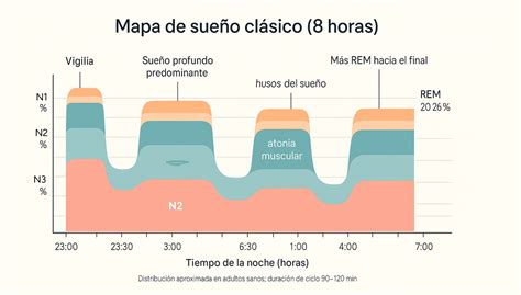 Esquema del ciclo del sueño y cómo la parálisis del sueño interrumpe la fase REM