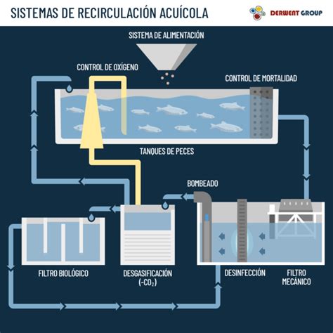 Esquema o infografía del proceso de recirculación de agua en una mina