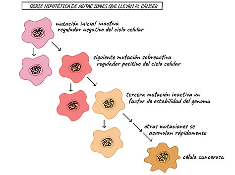 Esquema de las etapas del cáncer y la progresión de la necesidad de cuidados paliativos.