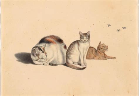 Dibujo o pintura de Gottfried Mind representando gatos