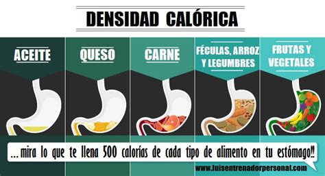 Infografía mostrando ejemplos de alimentos de alta densidad calórica y proteica y estrategias para mejorar la palatabilidad.