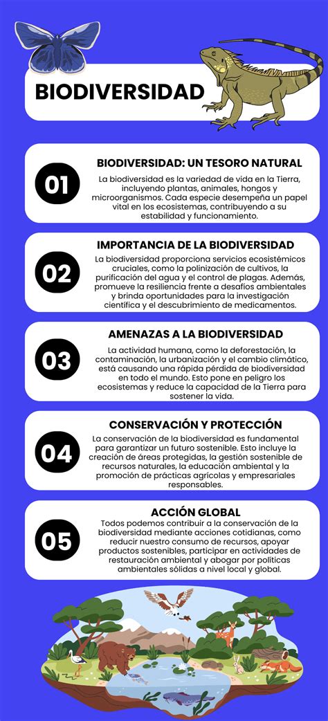 Infografía mostrando la relación entre territorios indígenas, biodiversidad y almacenamiento de carbono.