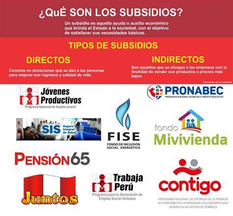 Esquema de los tipos de subsidios y sus objetivos