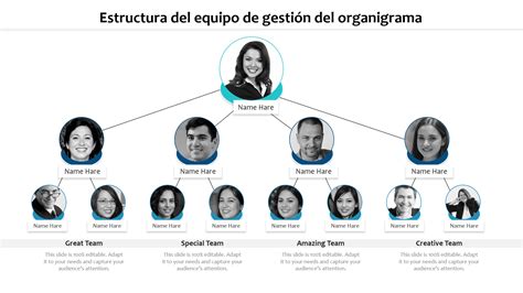 organigrama de un equipo interdisciplinario de atención geriátrica