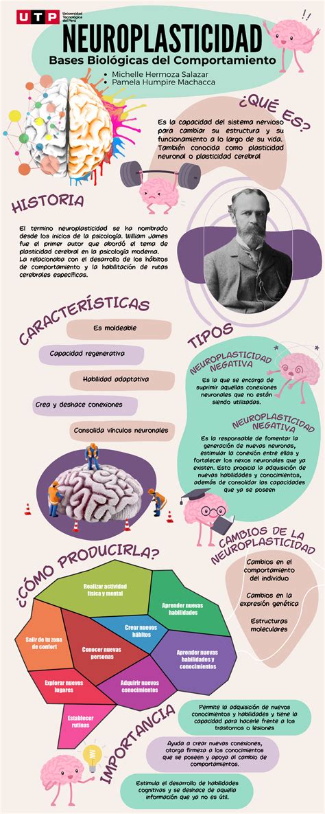 Infografía sobre la neuroplasticidad en la vejez