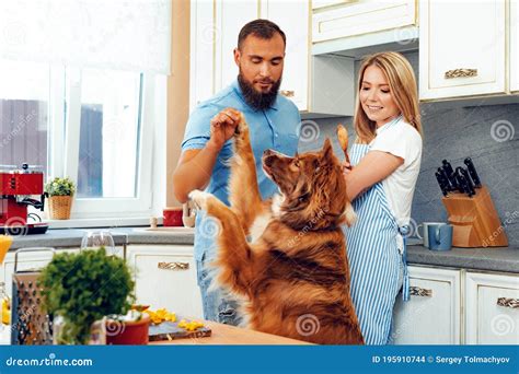 Propietario cocinando para su perro