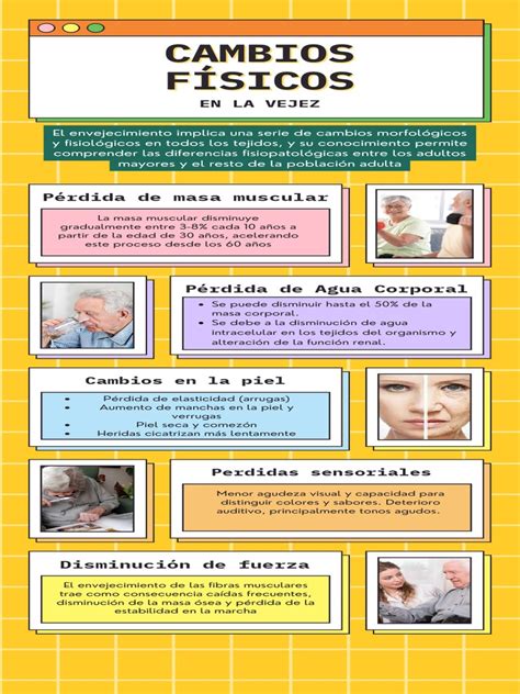 Infografía sobre los cambios físicos y cognitivos en la vejez