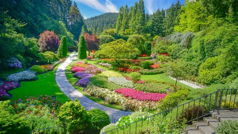 foto de los jardines de Acalis Cordillera