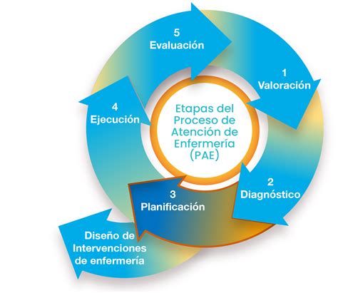 Esquema de las etapas del proceso de la licencia médica