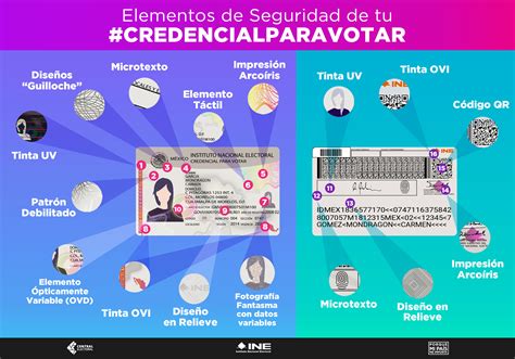 Infografía: elementos clave de una credencial infantil