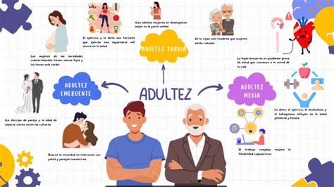 Infografía comparativa de las etapas de la vida: adultez media, tercera edad y cuarta edad, destacando las responsabilidades y desafíos de cada una.