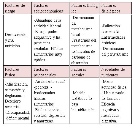 Esquema de factores que influyen en el bienestar del adulto mayor