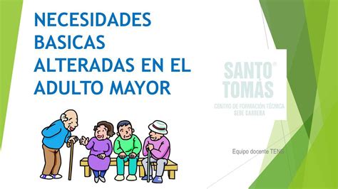 Esquema de las necesidades básicas del adulto mayor