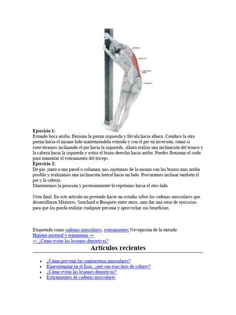 Infografía comparando estiramientos analíticos y globales de cadenas musculares