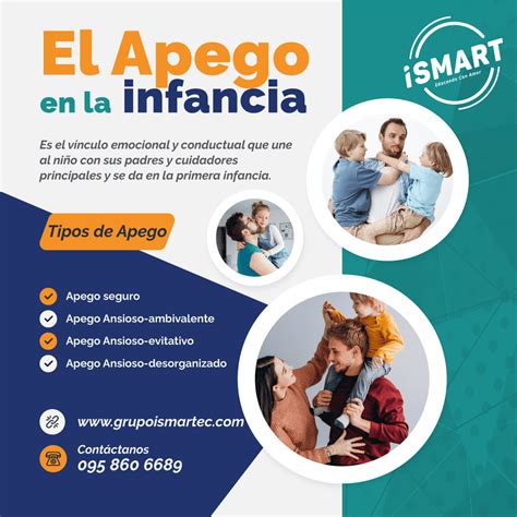 Infografía sobre la conexión entre el apego en la infancia y la capacidad de regulación emocional adulta.