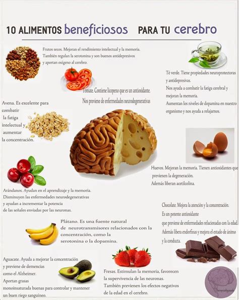 Infografía mostrando diferentes tipos de alimentos beneficiosos para la salud cerebral, como pescado, frutos secos y verduras.