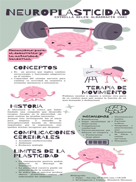 Esquema sobre la neuroplasticidad: cómo la estimulación constante fortalece las conexiones neuronales en el cerebro adulto.